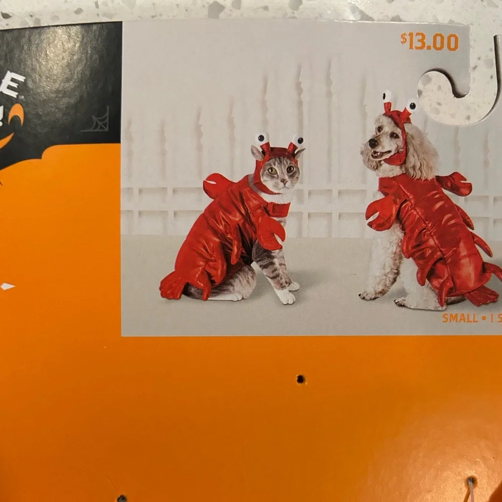 Assorted Cat Halloween Costumes